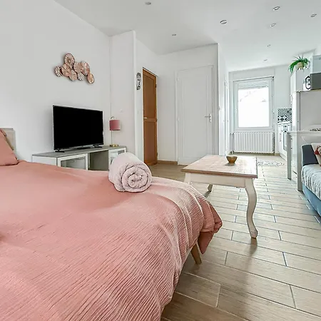 Apartment Cosy Et Calme, Lit Double, Proche Transports Tours